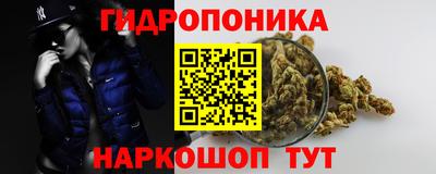 мяу мяу кристалл Ачхой-Мартан