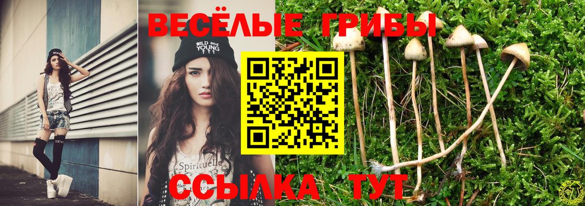 Псилоцибиновые грибы мицелий Железногорск