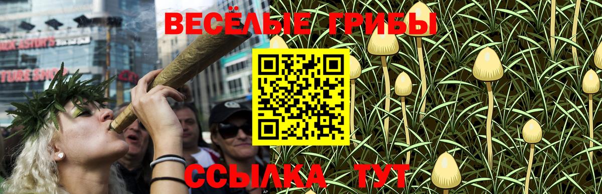 Железногорск  Галлюциногенные грибы Magic Shrooms  Вход с VPN 