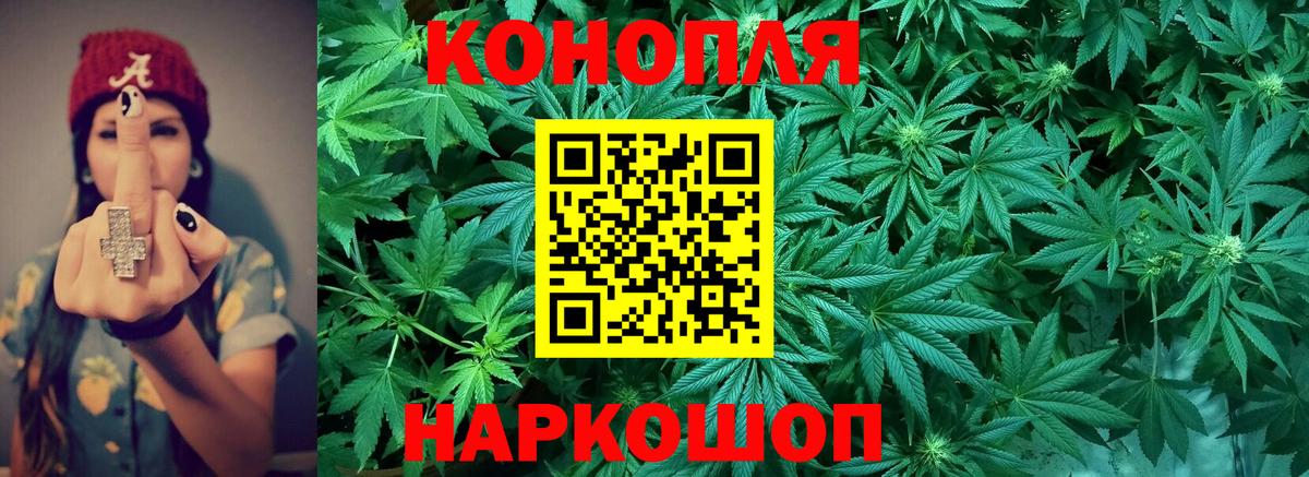 Железногорск  Конопля ГИДРОПОН  Бошки марихуана планчик  Вход с VPN 